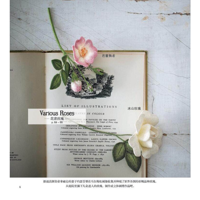 Buku Sulaman 3D Stumpwork: Pan - Embroidery World ulasan dan harga